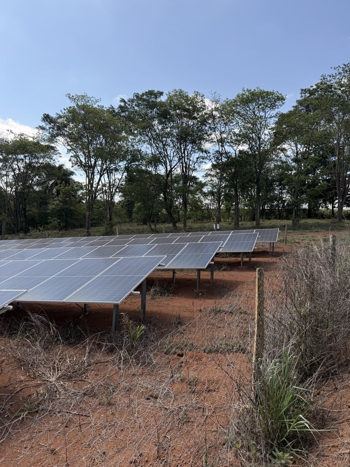 Painéis de energia solar instalados na Fazenda São Bartolomeu